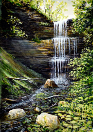 "Woodland Waterfall"
