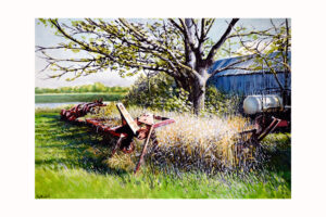 "Stowed until Spring" Signed Paper Print